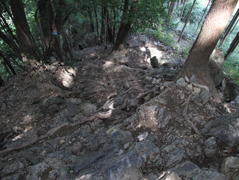 20150929hike (116)